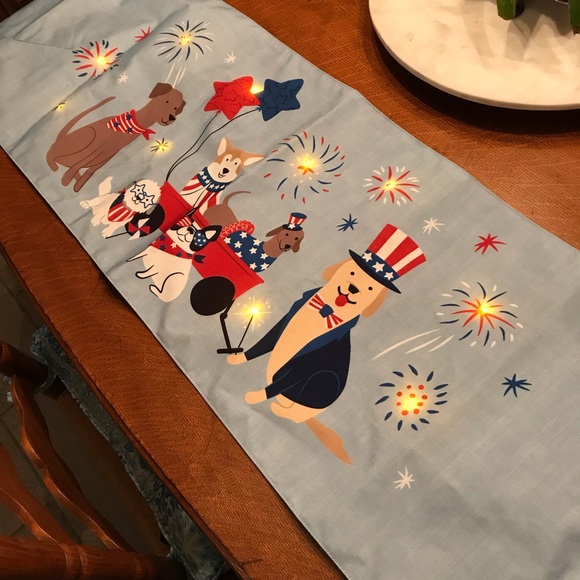 tj maxx Kitchen Storehouse Patriotic Dogs Fourth Of July Light Up